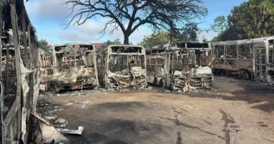 Incêndio destrói mais de 10 ônibus escolares na zona Sul de Teresina e compromete transporte de alunos