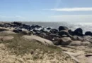 MPF abre inquérito para apurar pedido de remoção de casas na Praia Pedra do Sal