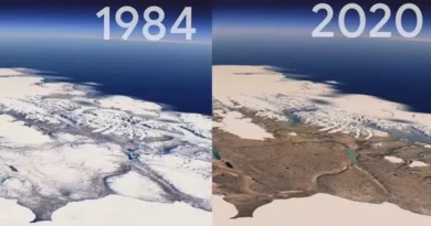 Estudo relembra histórico natural das variações climáticas e avanço das geleiras