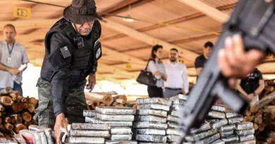 SSP incinera 250 quilos de drogas apreendidas em operações integradas no Piauí