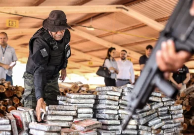 SSP incinera 250 quilos de drogas apreendidas em operações integradas no Piauí