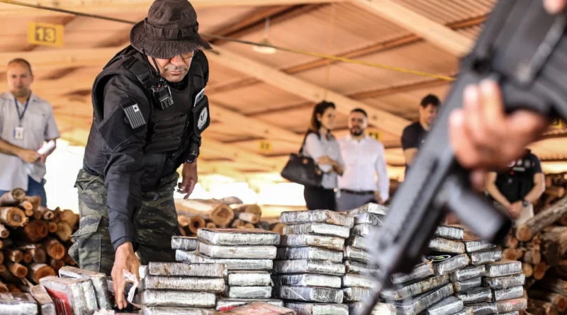 SSP incinera 250 quilos de drogas apreendidas em operações integradas no Piauí