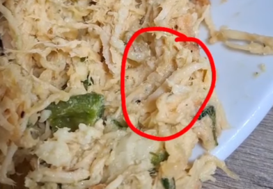 Cliente denuncia presença de larvas em calzone comprado em padaria na zona Sudeste de Teresina