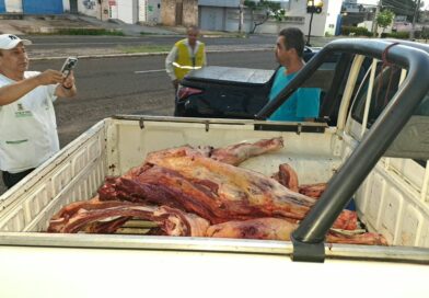 Vigilância Sanitária apreende 230 kg de carne irregular em Teresina