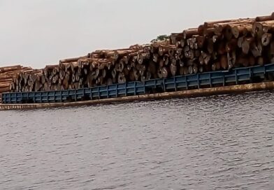 Vídeo de balsa com carga de madeira na Amazônia gera debate sobre fiscalização ambiental