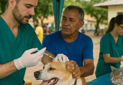 Campanha de vacinação antirrábica para cães e gatos começa neste sábado em Teresina