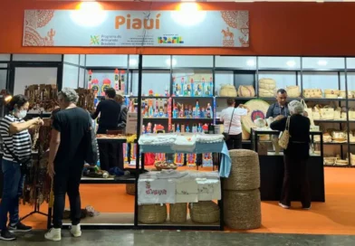 Artesanato do Piauí ganha destaque em salão nacional realizado em São Paulo