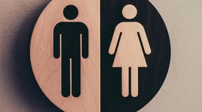 Lei que restringe uso de banheiros por mulheres trans entra em vigor em São Luís e gera reação de entidades