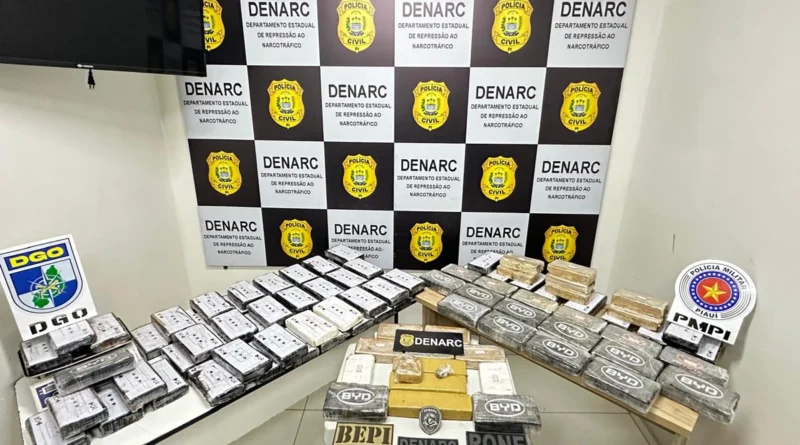 DENARC APREENDE GRANDE QUANTIDADE DE DROGAS ESCONDIDA EM PISO FALSO EM CAXIAS