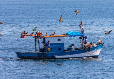 Avanço de frotas estrangeiras pressiona pesca no Brasil e expõe fragilidade na fiscalização marítima