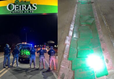 PRF apreende 450 kg de drogas em caminhão e prende motorista no Sul do Piauí