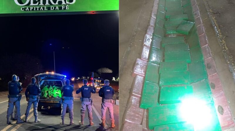 PRF apreende 450 kg de drogas em caminhão e prende motorista no Sul do Piauí