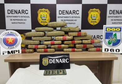 DENARC E BEPI APREENDEM 20 KG DE DROGA DESTINADA AO BONDE DOS 40 ENTRE TIMON E CAXIAS
