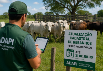 Adapi amplia prazo de cadastro de rebanhos no Piauí até 31 de julho