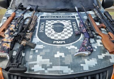 Polícia apreende arsenal com mais de 10 armas e 109 munições durante operação em Pio IX