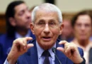 Diários de Anthony Fauci revelam bastidores da pandemia e debates sobre a origem da Covid-19