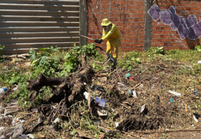 Mutirão contra a dengue chega ao Parque Ideal com alerta para focos dentro das residências