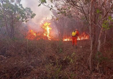 Piauí registra quase 300 focos de queimadas em julho com avanço do período seco