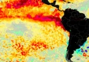 Piauí reforça preparação do SUS para possíveis efeitos do El Niño na saúde