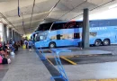 Eleitores terão transporte intermunicipal gratuito no Piauí durante o segundo turno; saiba como utilizar