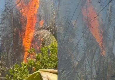 Incêndio avança em povoado de Teresina, moradores tentam conter chamas e cobram ajuda dos Bombeiros