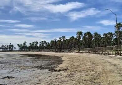 Justiça Federal anula lei que reduzia proteção ambiental em Cajueiro da Praia