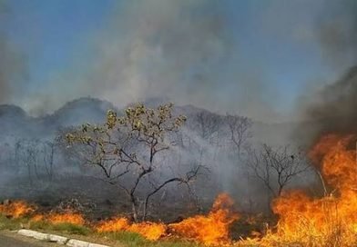 Incêndio atinge cerca de 2 mil hectares de vegetação no Sul do Piauí