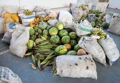Distribuição de 35 toneladas de alimentos beneficia 26 entidades em Teresina